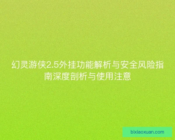 幻灵游侠2.5外挂功能解析与安全风险指南深度剖析与使用注意