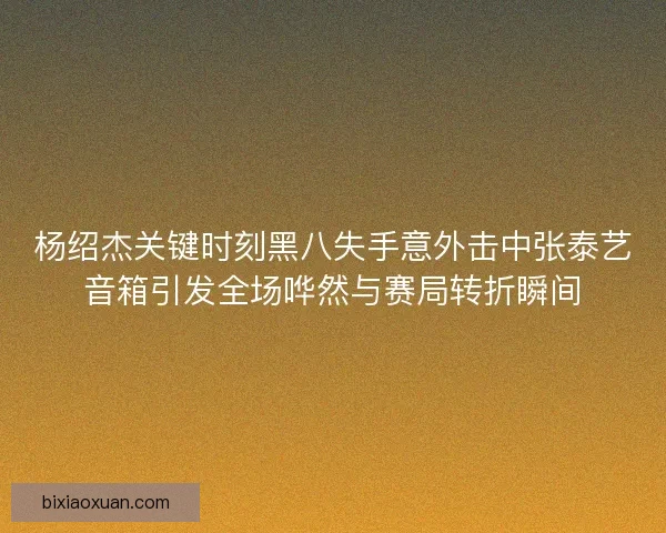 杨绍杰关键时刻黑八失手意外击中张泰艺音箱引发全场哗然与赛局转折瞬间